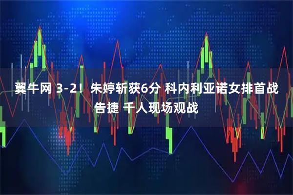 翼牛网 3-2！朱婷斩获6分 科内利亚诺女排首战告捷 千人现场观战