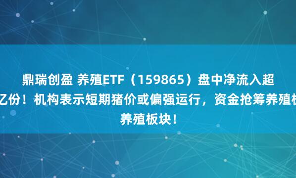 鼎瑞创盈 养殖ETF（159865）盘中净流入超1.4亿份！机构表示短期猪价或偏强运行，资金抢筹养殖板块！