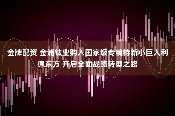 金牌配资 金浦钛业购入国家级专精特新小巨人利德东方 开启全面战略转型之路